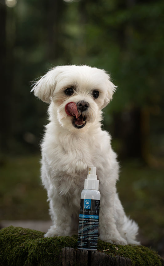 Denta Mundspray