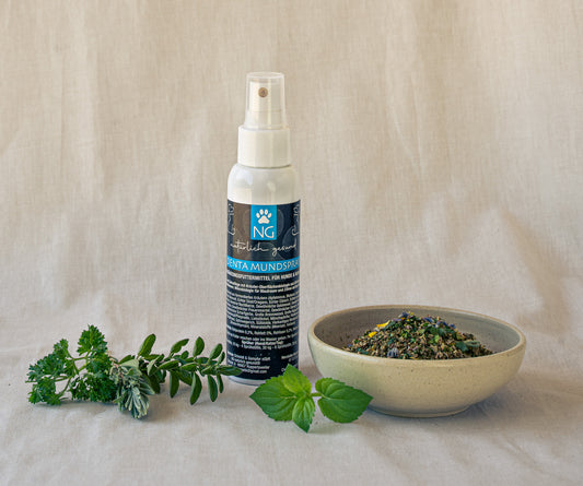 Denta Mundspray