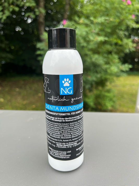 Eine weiße Flasche mit schwarz/blauem Etikett mit dem Produktnahme Denta Mundspray. Sie steht auf einem gauen Tisch im Hintergrund grüne Pflanzen.