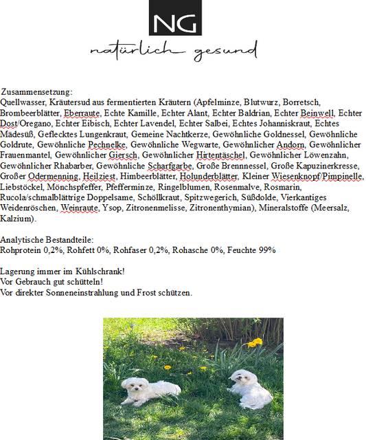 Schriftliche Zusammensetzung mit einem Bild von 2 Maltesern die im grünen Gras liegen. 